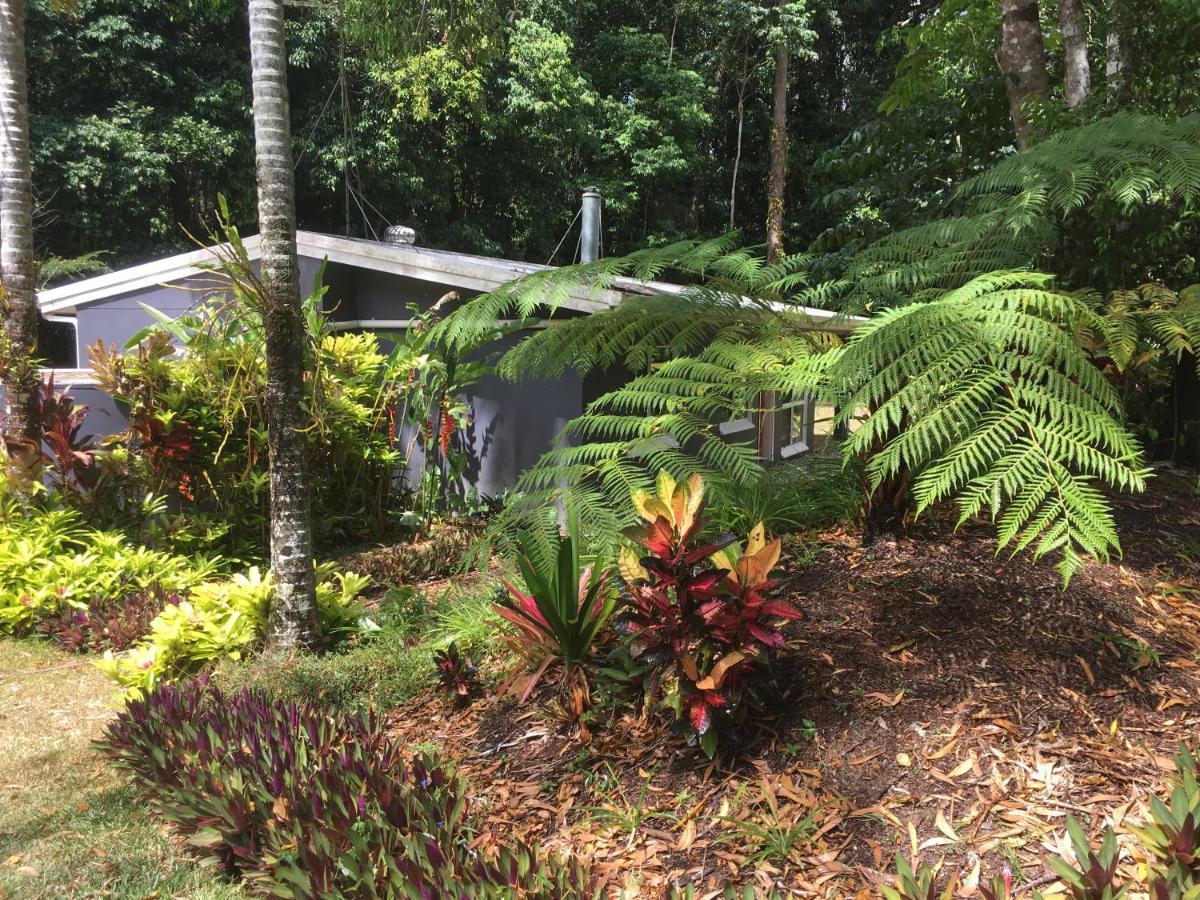 Honeybee House Kuranda