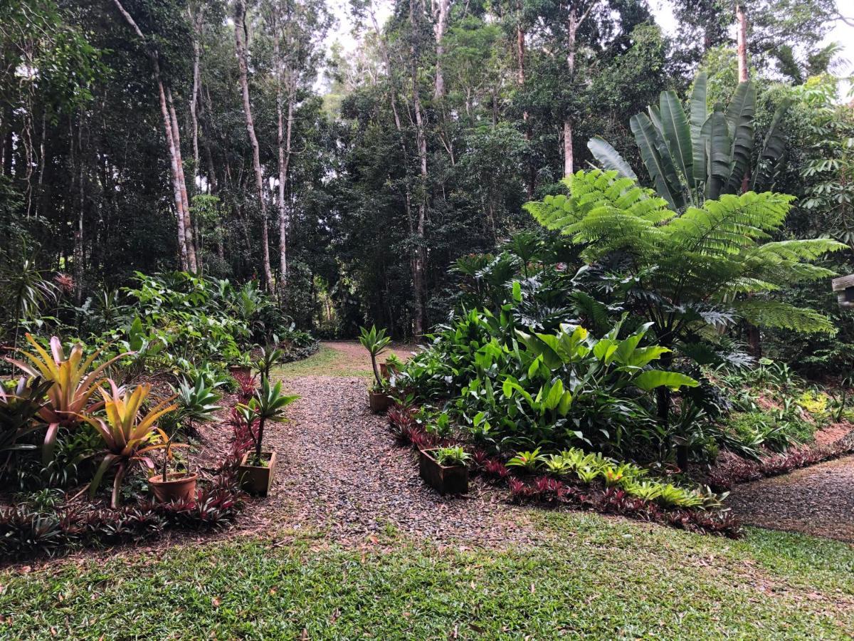 Honeybee House Kuranda