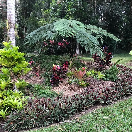 Honeybee House Villa Kuranda Exterior photo