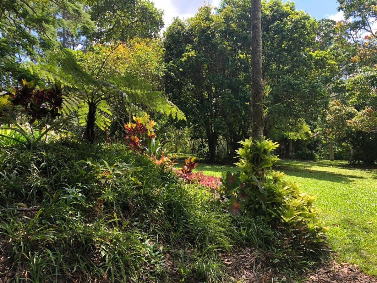 Honeybee House Kuranda